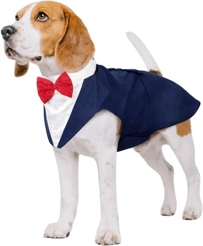Vista 37 de Kuoser Conjunto de esmoquin para perro, traje de perro y bandana, disfraz Negro