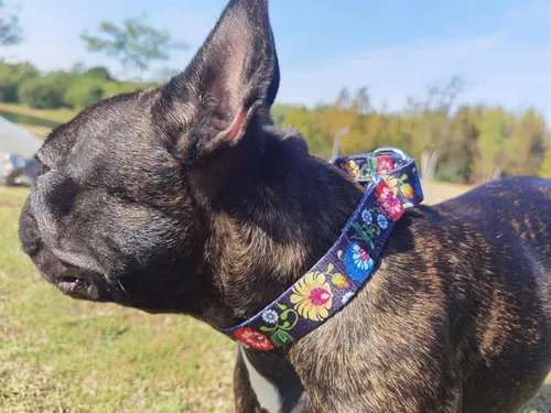 Vista 3 de Collar de perro de nailon resistente, collar ajustable de martingala para perros para caminar y entrenamiento para perros machos y hembras perros