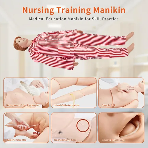 Vista 4 de Modelo anatómico de cuerpo completo para mujer adulta, maniquí de entrenamiento de enfermería de 67 pulgadas para entrenamiento de habilidades