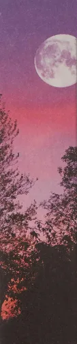 Vista 7 de FarmHouse Fresh Pink Moon - Crema de manos con manteca de karité, azúcar de regaliz, 2 onzas líquidas