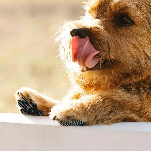 Vista 7 de Protector de patas de perro, agarre antideslizante para los dedos, almohadillas para patas de tracción de perros, 8 juegos de 32 almohadillas