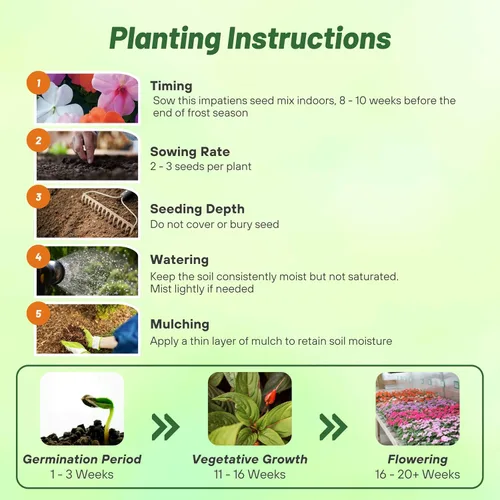 Vista 4 de Outsidepride 75 semillas Impatiens Xtreme Pastel Shade Garden Flower Seed Mix para plantar
