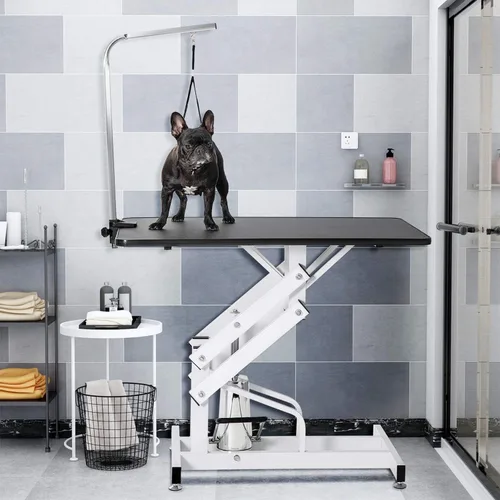 Vista 2 de Mesa hidráulica de peluquería para perros pequeños/grandes, mesa profesional de peluquería de mascotas de servicio pesado con brazo superior Blanco