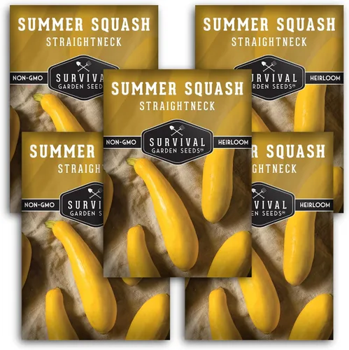 Vista 12 de Survival Garden Seeds - Semilla de calabaza de verano de cuello recto para plantar - Paquete con instrucciones para plantar y cultivar calabaza