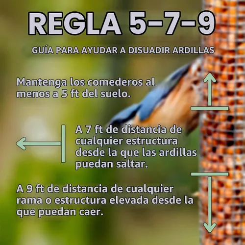 Vista 9 de Squirrel Buster Classic - Alimentador para pájaros a prueba de ardillas, con 4 puertos de alimentación, capacidad de semillas de 2.4 libras