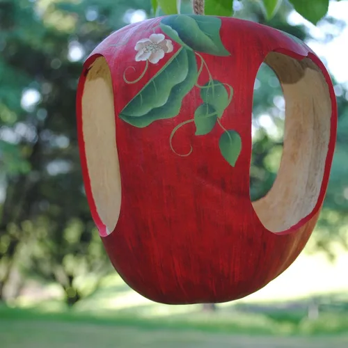 Vista 4 de TomorrowSeeds - Semillas de calabaza de manzana - Más de 20 unidades - para plantar calabazas ornamentales grandes de 2026, verde y blanco, gran