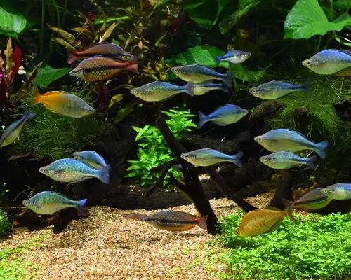 Vista 3 de Seachem Matriz, 4 L / 1 gal.