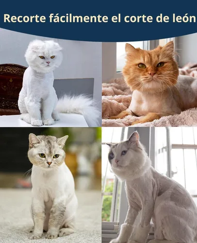 Vista 5 de oneisall Cortador de pelo para gatos silencioso para pelo enmarañado y largo, afeitadora de mascotas inalámbrica de 2 velocidades para gatos, perros