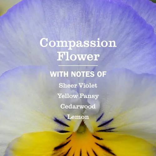 Vista 3 de MRS. MEYER'S CLEAN DAY Jabón de Manos Compassion Flower, 12.5 FZ