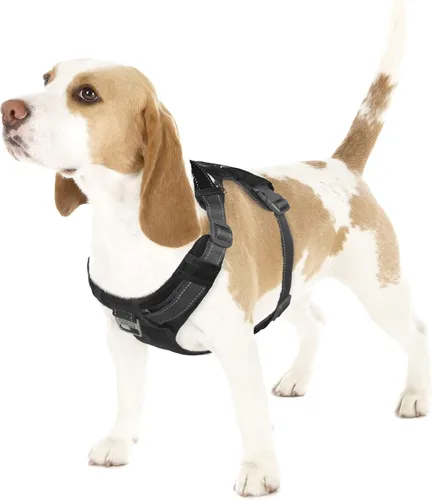 Vista 10 de Outward Hound Boulder Adventure - Arnés ajustable para perro con bolsillos, turquesa, mediano