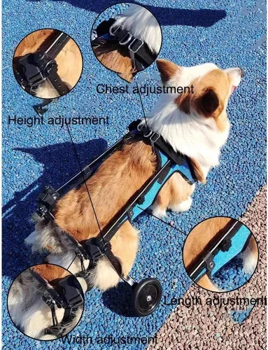 Vista 5 de Silla de ruedas ajustable para perros traseros, andador de movilidad para perros pequeños con tabla de tallas, arnés de hebilla fácil, soporte