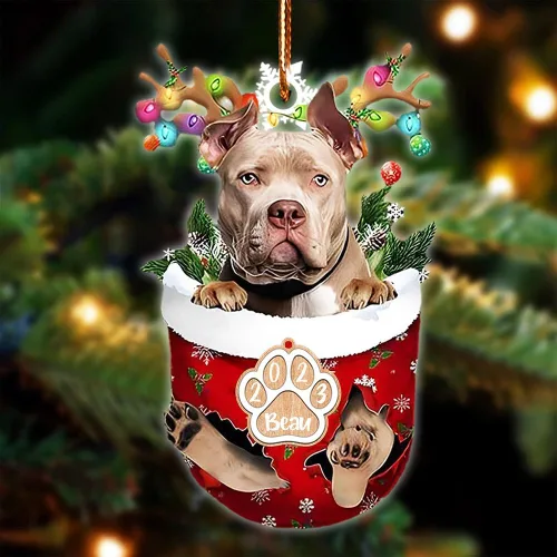 Vista 20 de NAZENTI Adorno Navideño de Bolsillo Personalizado de Affenpinscher en la Nieve, Adorno de Forma Acrílica de Perro, Adorno de Navidad 2023, Adorno