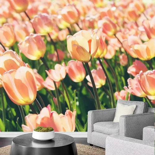 Vista 23 de wall26 Adhesivo mural removible para pared, diseño escénico de flores silvestres rosa, campo de jardín, naturaleza, fotografía, realismo