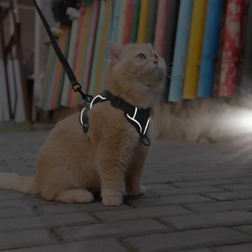 Vista 5 de Skmeditec Juego de arnés y correa para gato: chaleco a prueba de fugas mejorado con correa para gatos grandes, perros pequeños y cachorros, chaqueta