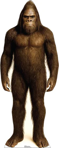 Vista 6 de Cardboard People Bigfoot - Soporte de cartón de tamaño real