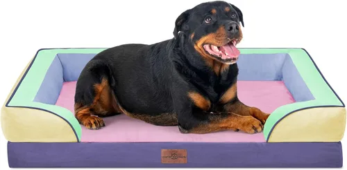 Vista 184 de Comfort Expression - Cama ortopédica para perros medianos, 28 x 19 pulgadas, cama impermeable y de apoyo de espuma con cojines removibles, sofá