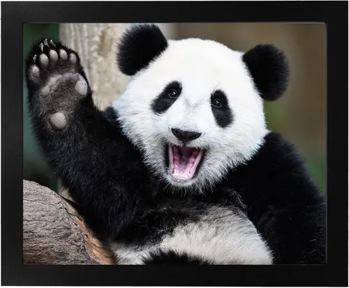 Vista 6 de AMERICAN LUXURY GIFTS Happy Panda Waving Hi - Divertido arte de pared de animales para habitación de niños, decoración de guardería, impresión sin