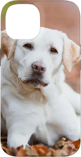 Vista 4 de Labrador Retriever Dog Lover - Carcasa para iPhone 17