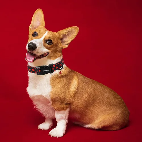 Vista 173 de DOGWONG Collar para perro de San Valentín, collar ajustable de algodón con corazón de caramelo azul, perfecto para perros pequeños a medianos