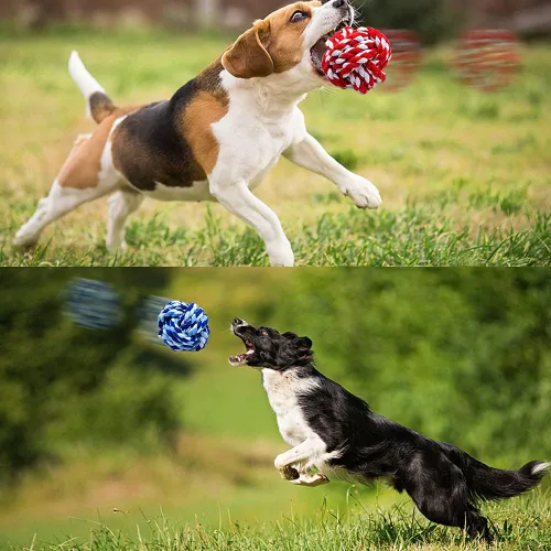 Vista 6 de Juguete masticable para mascotas, cuerda de algodón con tejido de nudos, bola pequeña para perros y gatos, paquete 3 en uno