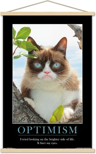 Vista 17 de Trends International Grumpy Cat - El Lado Más Brillante Póster de Pared, 14.725 x 22.375 pulgadas, Versión Enmarcada de Madera de Granero