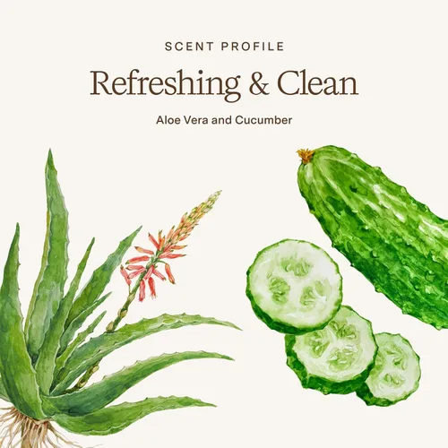 Vista 7 de Rahua Champú de aloe vera – Restaurador e hidratante – Limpia, elimina la acumulación y calma el cuero cabelludo sensible – Pepino, Hamamelis