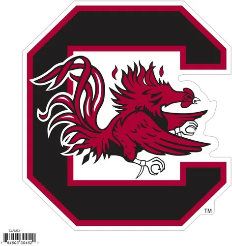 Vista 18 de NCAA, imán con logotipo, 8 pulgadas