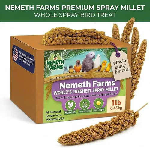 Vista 7 de Nemeth Farms Spray Millet - Tapas comestibles solamente, sin OMG y secado al sol, 1 libra para periquitos, canarios y pinzones