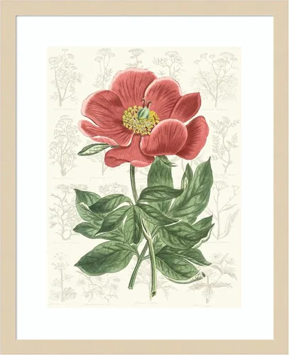 Vista 16 de Amanti Art Vision Studio - Lienzo decorativo para pared, 24 x 20 pulgadas, diseño de jardín de flores de peonía, arte de pared de flores, decoración