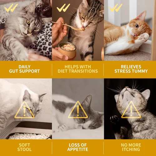 Vista 4 de Dr. Kiwi O'dogcat Probióticos para gatos Apoya la salud intestinal, la diarrea, la salud digestiva y las alergias estacionales