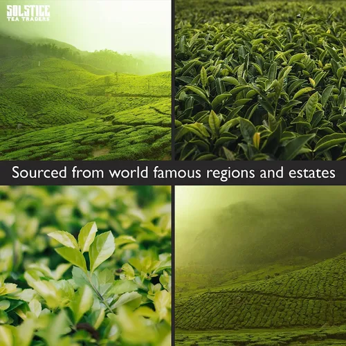 Vista 7 de Hojas sueltas té verde a granel Solstice Tea Traders, varios sabores en bolsa