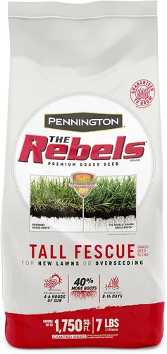 Vista 14 de Pennington The Rebels mezcla de semillas de césped Tall Fescue, 3 libras