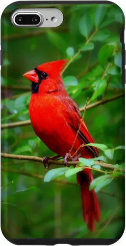Vista 12 de Hermosa cardenal pájaro rojo escena de la naturaleza caso para iPhone 17