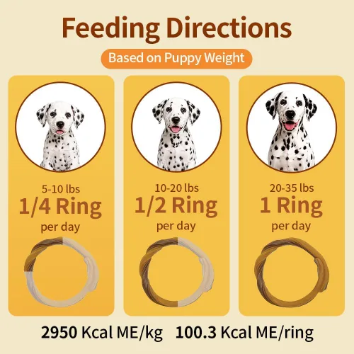Vista 5 de N-Bone Anillos de dentición para cachorros, sabor salmón, bolsa de 6 unidades, 7.2 onzas