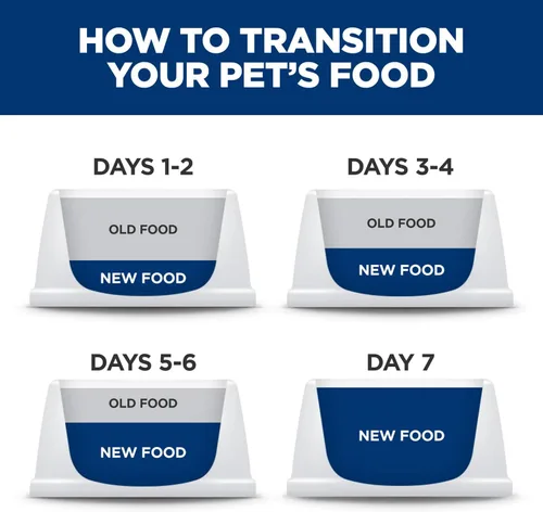 Vista 6 de Hill's Science Diet Kitten, Nutrición Premium para Gatito, Comida Seca para Gatos, Receta de Pollo, Bolsa de 7 lb White