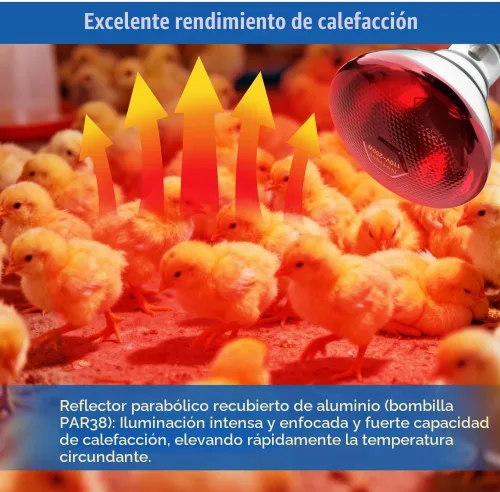 Vista 4 de Bombillas de calor de 250 W, 1 paquete de lámpara de calor infrarroja para pollos con enchufe E26 y 5000 horas de vida útil bombilla de calor