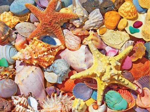 Vista 2 de White Mountain Rompecabezas de 500 piezas de collage de océano de verano con piezas grandes, regalo para adultos y familia, de 18 x 24 pulgadas