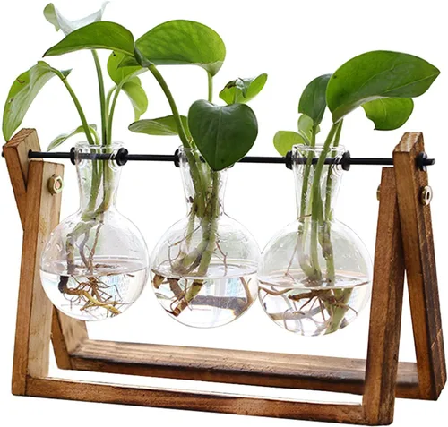 Vista 9 de XXXFLOWER Kit de terrario para plantas con soporte de madera, 3 jarrones de Azul