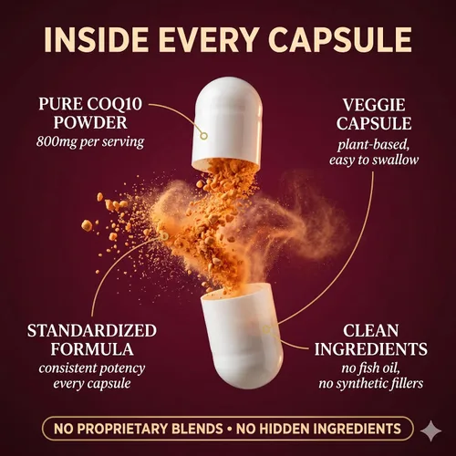 Vista 3 de CoQ10 Potente antioxidante (Cápsulas, 800 mg 120 Cápsulas)