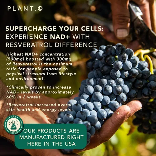 Vista 4 de Suplemento NAD de alta pureza (500 mg de 95% de NAD Pura Plus) con resveratrol - NMN y ribósido de nicotinamida alternativa para energía