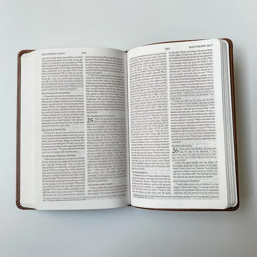 Vista 7 de Biblia ESV personalizada, marrón con un león en la portada, opción para personalizar con el nombre con letra a mano en la portada