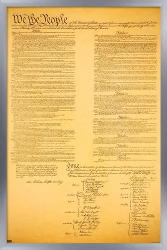 Vista 9 de Trends International Póster de pared de The Constitution, 14.725 x 22.375 pulgadas, versión enmarcada de madera de granero Versión enmarcada Barnwood