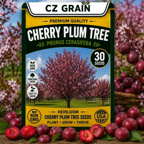 Vista 29 de CZ Grain Semillas para plantar, 40 pequeñas mezclas de calabaza
