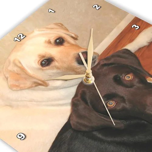 Vista 3 de 3drose Reloj de pared silencioso - 10 pulgadas - Labrador Retriever - Perros Labrador Retriever