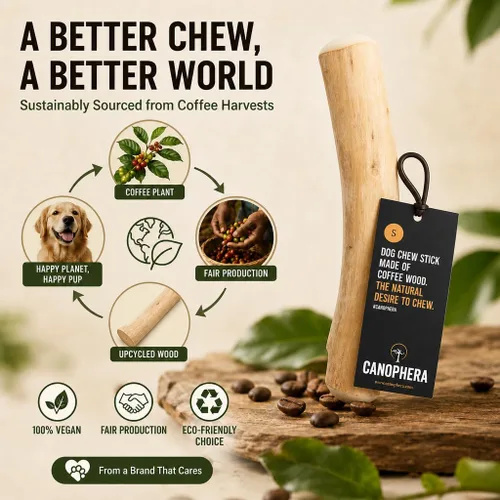 Vista 9 de Canophera Palitos masticables para perros de madera de café para masticadores regulares - tamaño pequeño