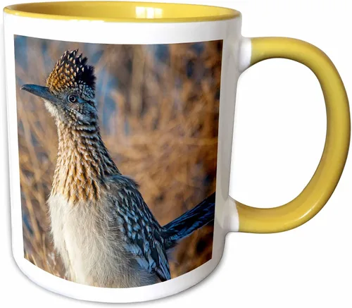 Vista 9 de 3dRose Roadrunner bird, Bosque del apache NWR, Nuevo México - US32 CHA0044 - Chuck Haney - Taza negra de dos tonos de 11 oz Negro