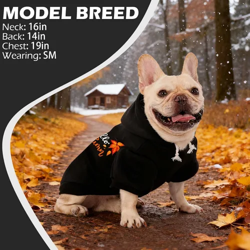 Vista 7 de EXPAWLORER Sudadera con capucha para otoño de perro - Suéteres suaves y cálidos para perros, ropa para mascotas, abrigo de otoño e invierno