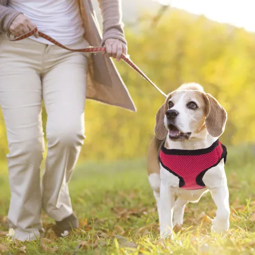 Vista 4 de Weebo Pets Soft'n'Safe - Arnés ajustable para perro (rosa, XS)