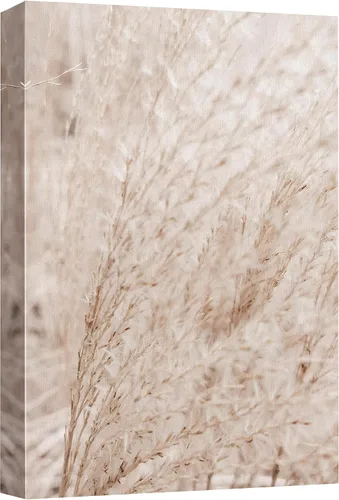 Vista 19 de wall26 Lienzo impreso para pared, diseño de rosa del desierto, suculentas, naturaleza, desierto, fotografía, realismo, floral, botánico, suroeste