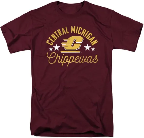 Vista 33 de Collegiate Distressed Mascot Unisex Adult T Shirt Collection 3 Universidad de Adelphi